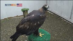 Puntata del 24 novembre