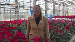 Puntata dell'1 dicembre