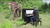 Musica per le sue orecchie