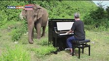 Musica per le sue orecchie