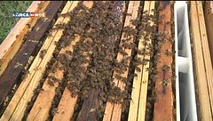 Puntata del 15 dicembre