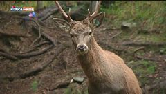 Puntata del 22 dicembre