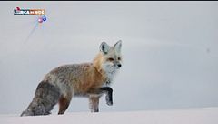 Puntata del 29 dicembre