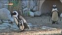 Ospiti d'onore