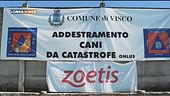 I nostri eroi