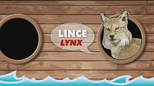 Animali in lingua