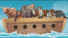 Animali in lingua
