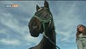 A cavallo senza stress