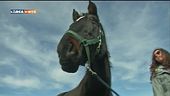 A cavallo senza stress