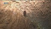 Il giardino di Kolymbetra