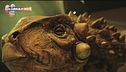 A passeggio con i dinosauri