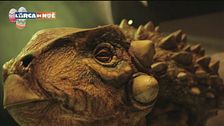 A passeggio con i dinosauri