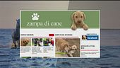 Il Can-piello
