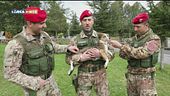 Arma di vicinanza