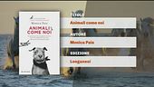 Il Can-piello
