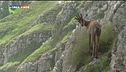 Viaggio nel "Parco Nazionale di Abruzzo e Molise"