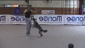 L'educa-cani