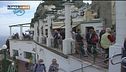 In viaggio con gli animali