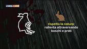 Rispetta la natura