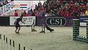 L'educa-cani