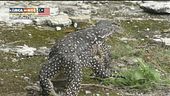 L'odore di natura