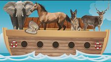 Animali in lingua