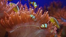Acquario, emozioni a Genova