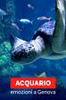 Acquario, emozioni a Genova
