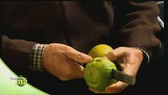 Puntata del 6 gennaio