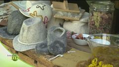 Puntata del 13 gennaio