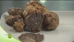 Puntata del 10 febbraio