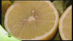 L'estrazione dell'olio essenziale