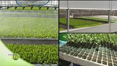 Puntata del 22 settembre