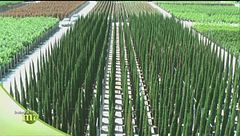 Puntata del 29 settembre