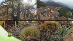 Puntata del 13 ottobre