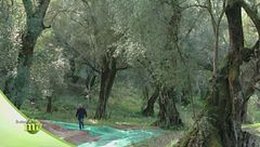 Puntata del 10 novembre