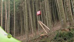 Puntata del 24 novembre