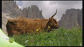 Vita di montagna