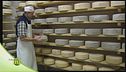 Una piccola stalla, un grande lavoro