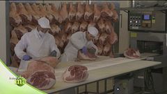 Puntata del 29 dicembre