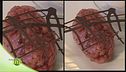 Ciocco veal