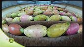 Un frutto straordinario