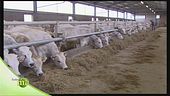 Fattoria bio