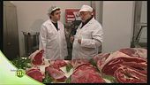Razza bovina piemontese