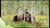 I predatori della Finlandia