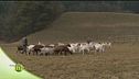 Azienda agricola di famiglia