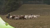 Azienda agricola di famiglia
