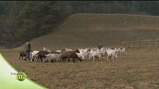 Azienda agricola di famiglia