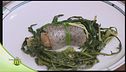 Involtino di baccalà farcito con filetti di tonno