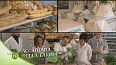 Accademia della farina